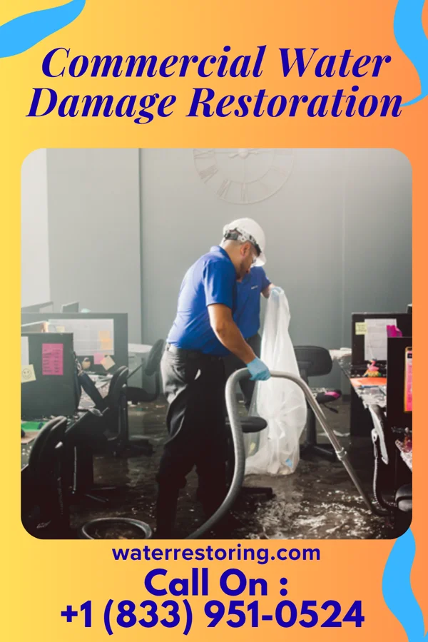Commercial Water Damage Restoration in Sleepy Eye, MN