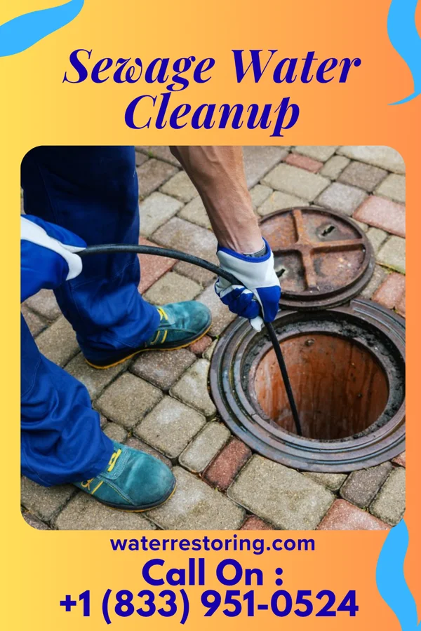 Sewage Water Cleanup in Sleepy Eye, MN